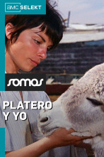 Platero y yo