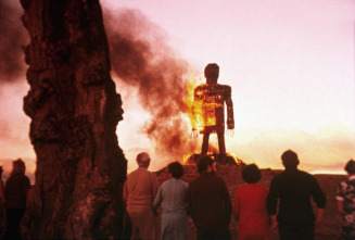 Imagen de El hombre de mimbre - 5