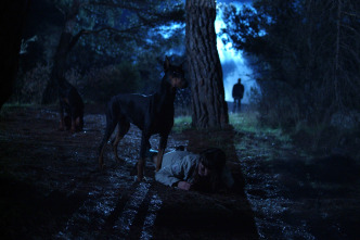 Imagen de El internado (T4): Ep.9 El unicornio - 2