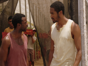 Imagen de Mar de Plástico (T1): Ep.6  - 3