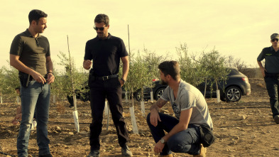 Imagen de Mar de Plástico (T2): Ep.9 Marta - 2