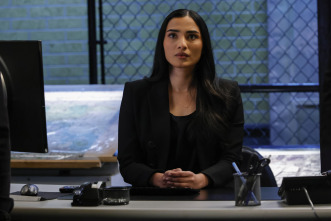 Imagen de The Blacklist (T10): Ep.18 Ajenjo (nº 182) - 8