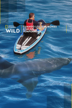 Imagen de Cuando los tiburones atacan  - 1