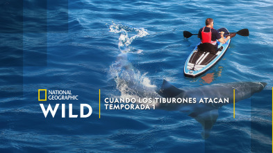 Imagen de Cuando los tiburones atacan  - 2