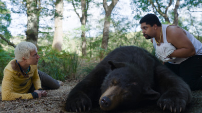 Imagen de Oso vicioso - 10