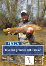 Imagen de Truchas grandes del Carrión - 1