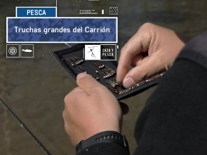 Imagen de Truchas grandes del Carrión - 2