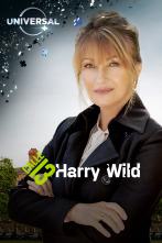 Harry Wild (T1)