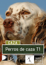 Perros de caza (T1)