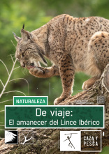 Imagen de De viaje: el amanecer del Lince ibérico - 1