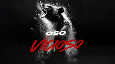 Imagen de Oso vicioso - 7