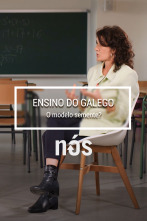 Imagen de Ensino do galego/... (T1): O modelo Semente? - 1