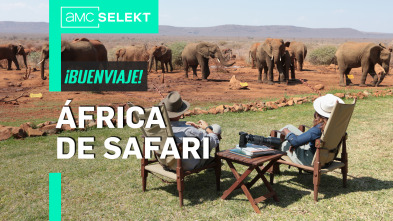 África de safari: Un recibimiento digno de un rey