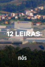 12 leiras