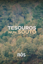 Imagen de Tesouros nun souto dos Ancares - 1