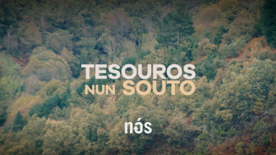 Imagen de Tesouros nun souto dos Ancares - 2