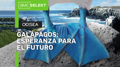 Galápagos: esperanza...: Paraíso escondido