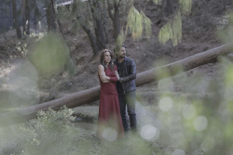 Imagen de Volver a caer (T1) - 5