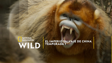 Imagen de El imperio salvaje de...: El antílope tibetano: La migración misteriosa - 2