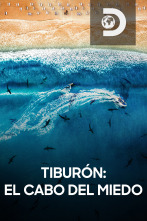 Imagen de Tiburón: el cabo del miedo - 1