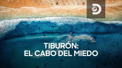 Imagen de Tiburón: el cabo del miedo - 3