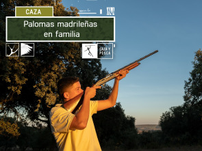 Imagen de Palomas madrileñas en familia - 2