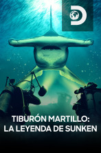 Imagen de Tiburón martillo: la leyenda de Sunken - 1