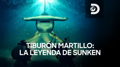 Imagen de Tiburón martillo: la leyenda de Sunken - 2