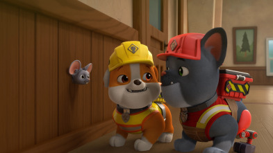 Imagen de Equipo Rubble (T1): El equipo construye una heladería/ El equipo encuentra un ratón - 1