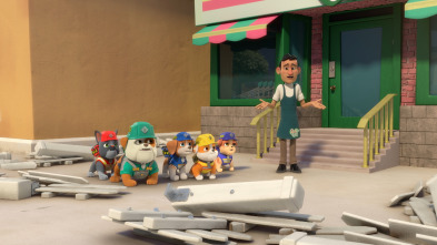 Imagen de Equipo Rubble (T1): El equipo construye un parque infantil / El equipo arregla un tejado - 1