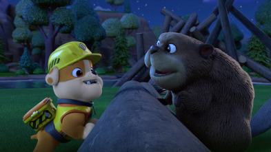 Imagen de Equipo Rubble (T1): El equipo construye una casa a un castor / El equipo arregla la calle - 1