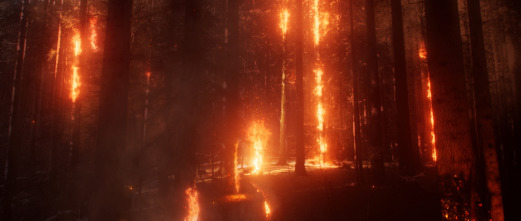 Imagen de La Tierra: Fuego - 9