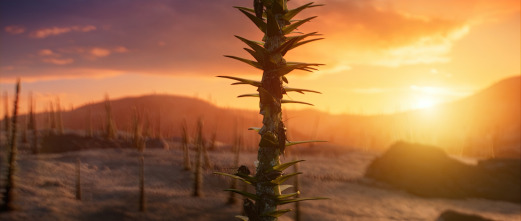 Imagen de La Tierra: Fuego - 12