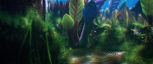 Imagen de La Tierra: Hielo - 13