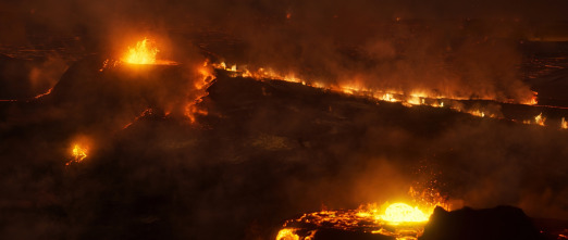 Imagen de La Tierra: Vegetación - 11