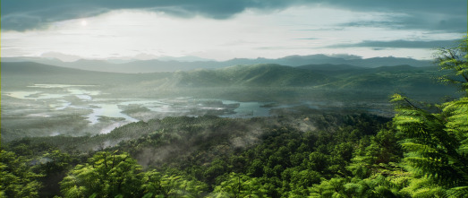 Imagen de La Tierra: Vegetación - 14