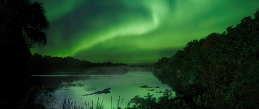 Imagen de La Tierra: Humanidad - 15