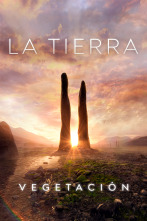 Imagen de La Tierra: Vegetación - 1