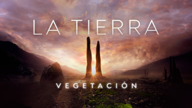 Imagen de La Tierra: Vegetación - 2