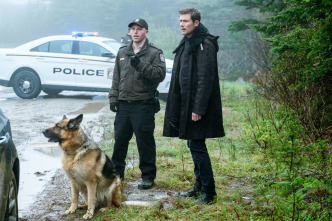 Imagen de Hudson y Rex (T5): Ep.2 Sonado - 1