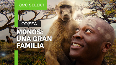 Monos: una gran familia: Asia