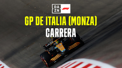Imagen de GP de Italia (Monza): GP de Italia: Carrera - 2