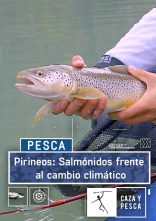 Pirineos: salmónidos frente al cambio climático