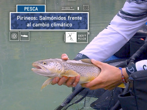 Imagen de Pirineos: salmónidos frente al cambio climático - 2