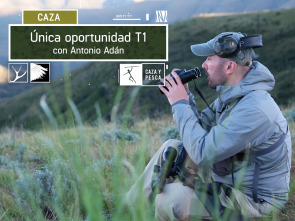 Imagen de Única oportunidad (T1) - 2