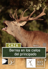Imagen de Berrea en los cielos del Principado - 1