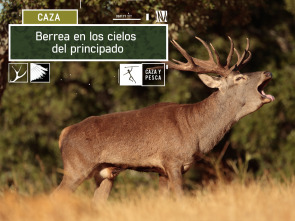 Imagen de Berrea en los cielos del Principado - 2