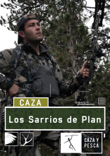 Los sarrios de Plan