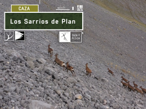 Los sarrios de Plan