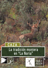 Imagen de Tradición montera en La Noria - 1